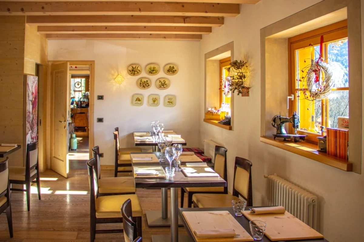 Homepage - Dolomiti Mountain Group