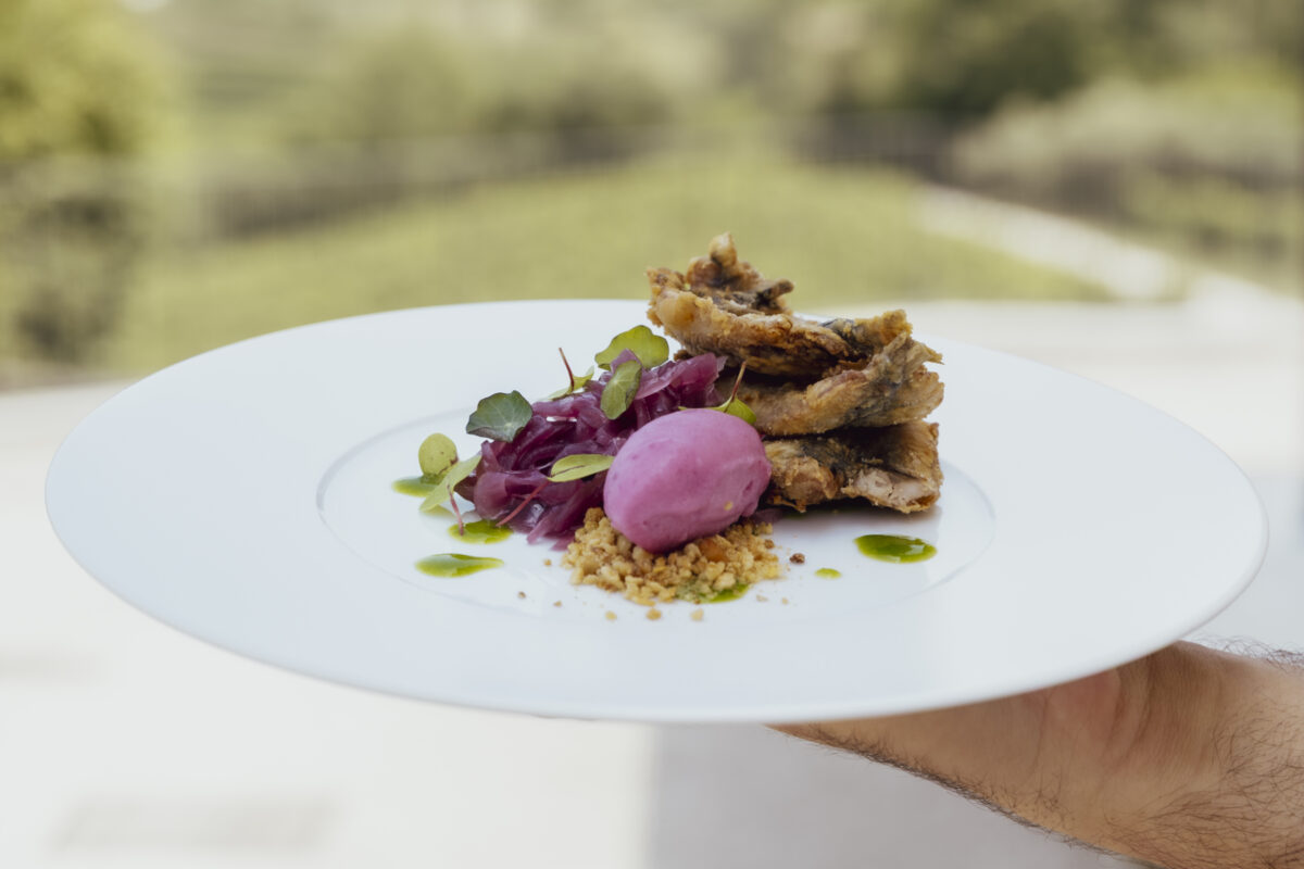 Homepage - Dolomiti Mountain Group