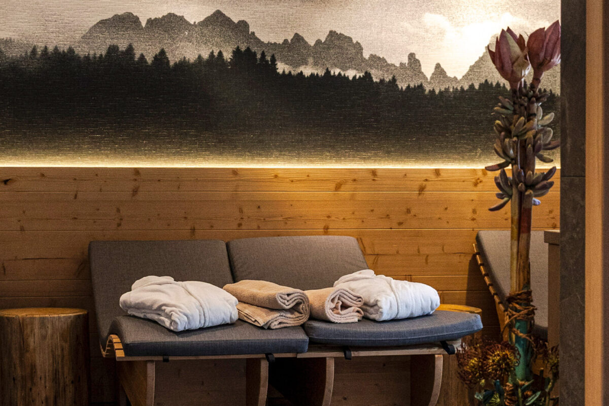 Homepage - Dolomiti Mountain Group